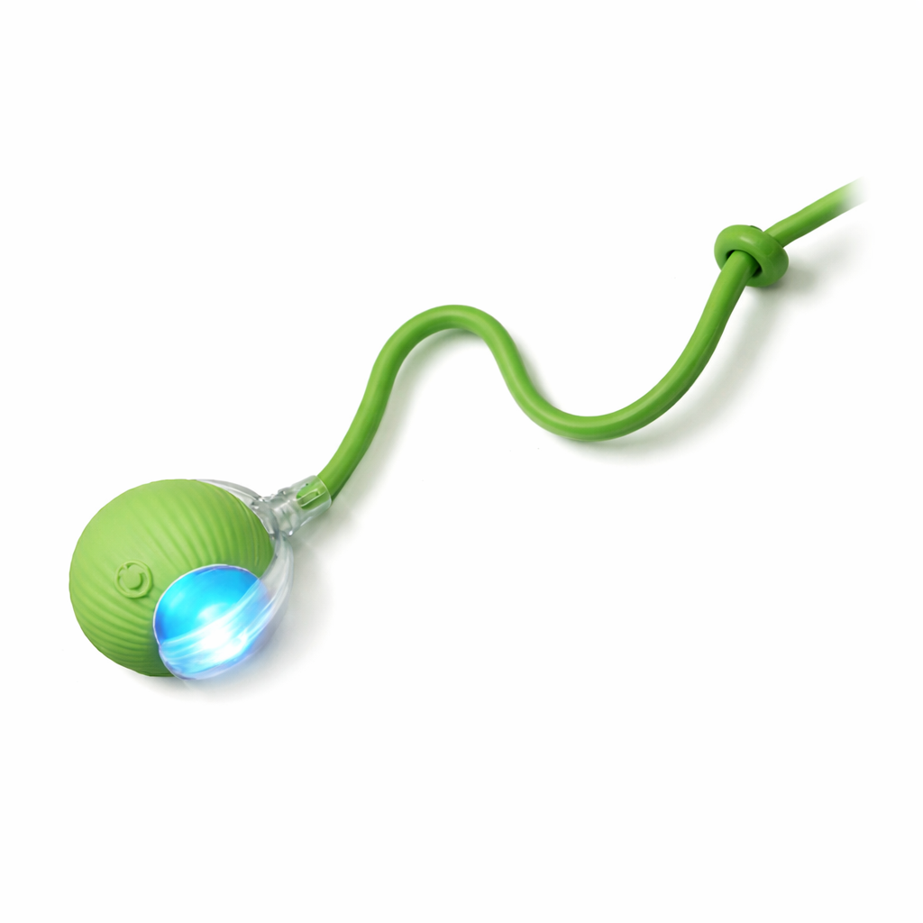 Brinquedo Interativo e Estimulante para Gatos