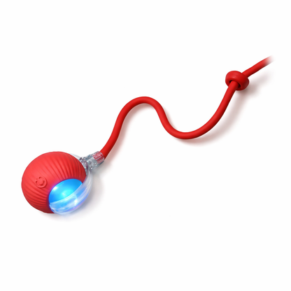 Brinquedo Interativo e Estimulante para Gatos