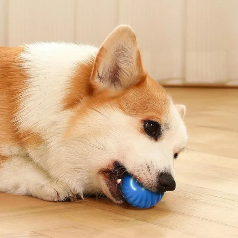 Brinquedo Bola inteligente para Pets