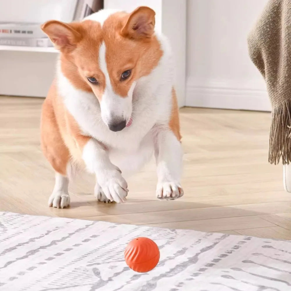Brinquedo Bola inteligente para Pets