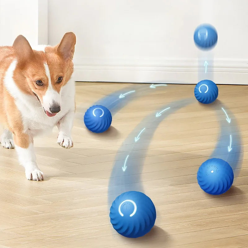Brinquedo Bola inteligente para Pets